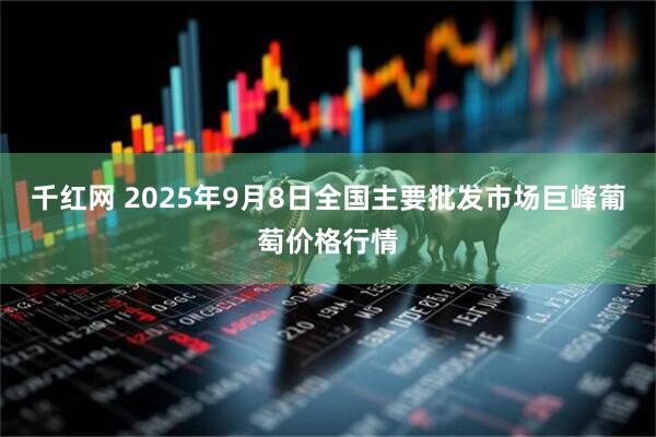 千紅網 2025年9月8日全國主要批發市場巨峰葡萄價格行情